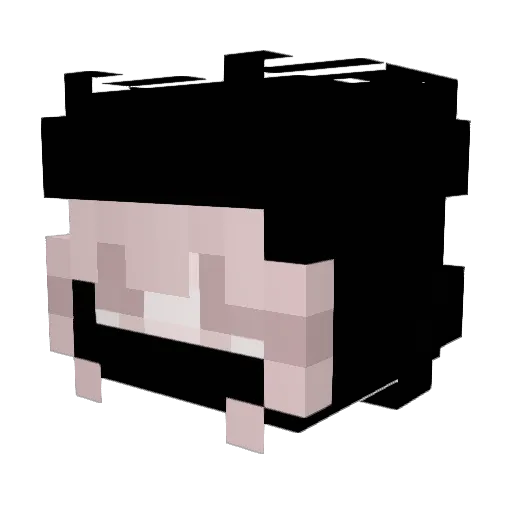 DameFluffle Minecraft avatar head, 3D render