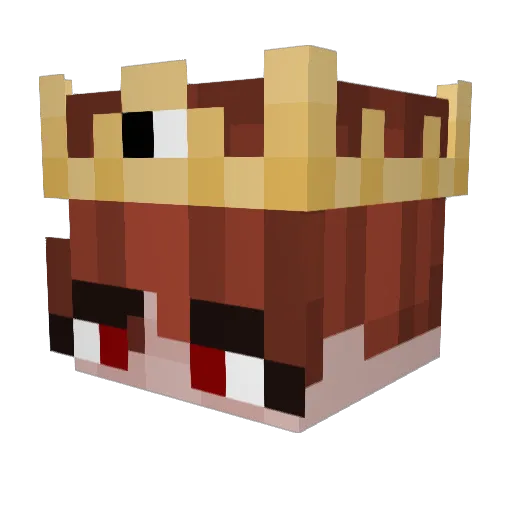 DameGame Minecraft avatar head, 3D render