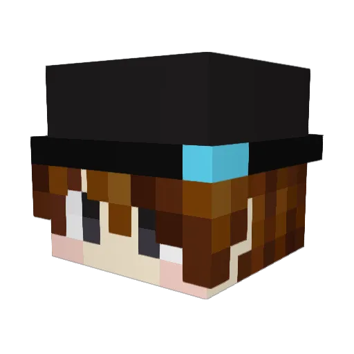 DameIsntHere Minecraft avatar head, 3D render