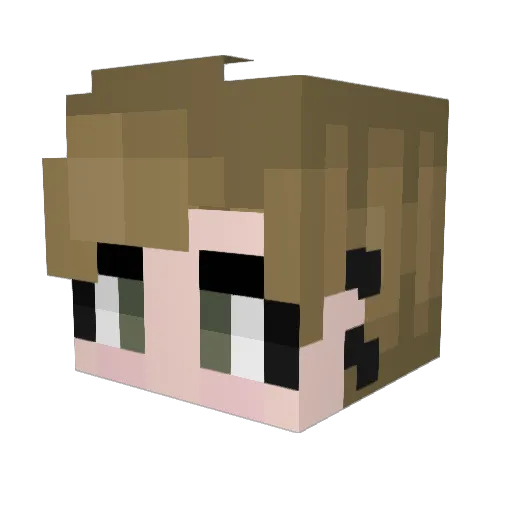 DameyBabey Minecraft avatar head, 3D render
