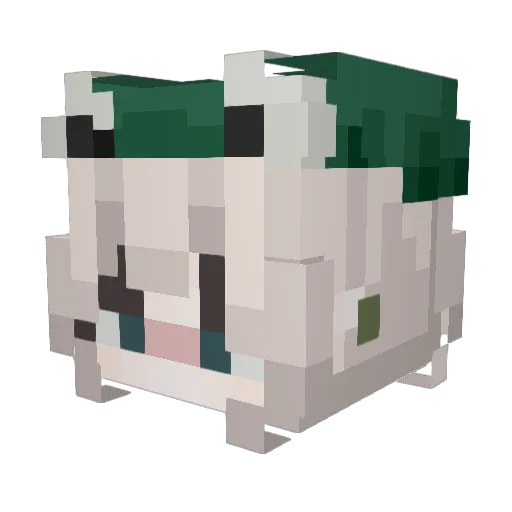 Damgomu Minecraft avatar head, 3D render