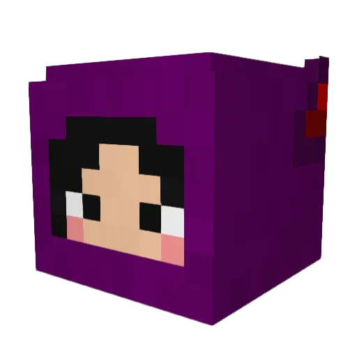 Damha Minecraft avatar head, 3D render