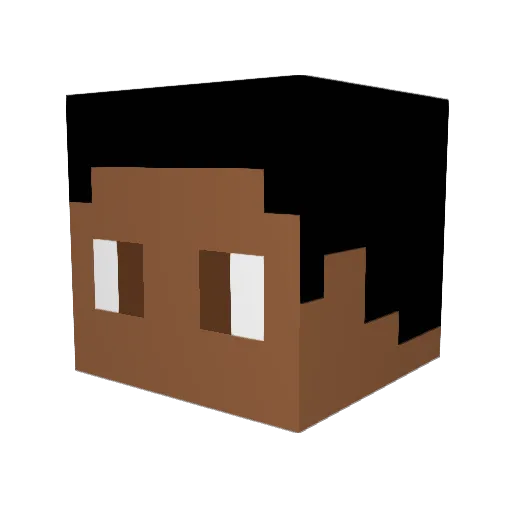 Dami1025 Minecraft avatar head, 3D render