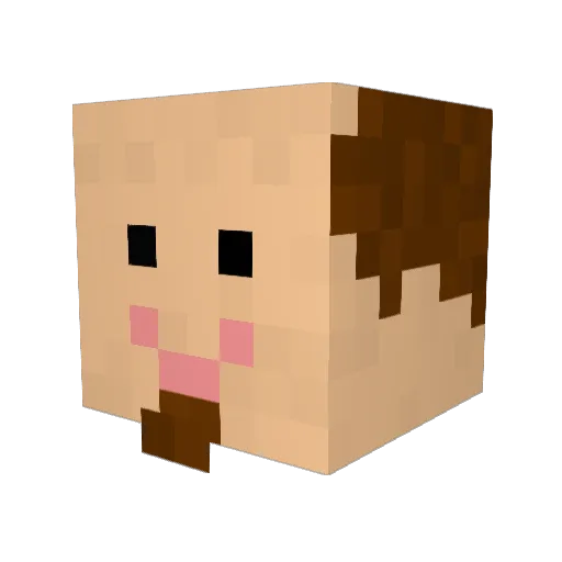 Damian02 Minecraft avatar head, 3D render