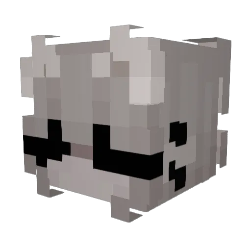 Damian9018 Minecraft avatar head, 3D render