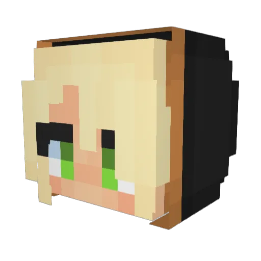 DamianDangerr Minecraft avatar head, 3D render
