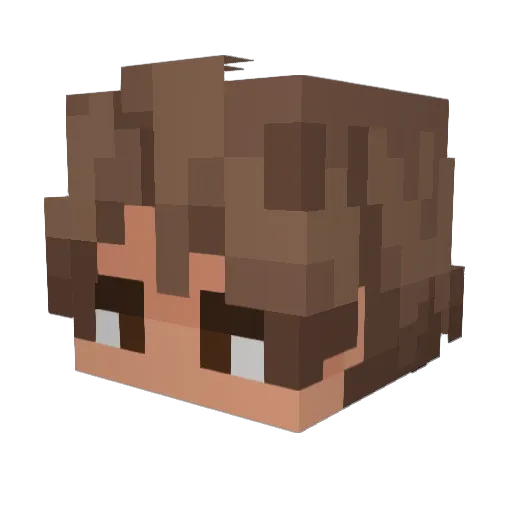 DamianGrr_ Minecraft avatar head, 3D render