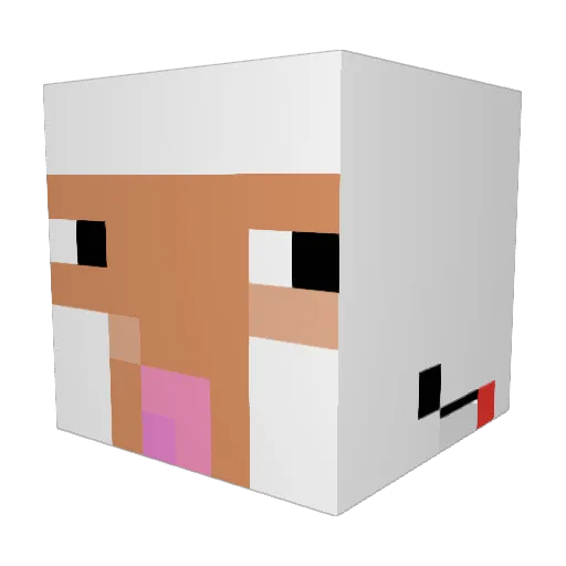 DamianHedgehog Minecraft avatar head, 3D render