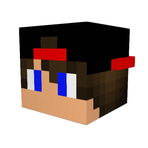 DamianP99 Minecraft avatar head, 3D render