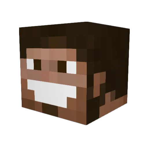 DamianSardey Minecraft avatar head, 3D render