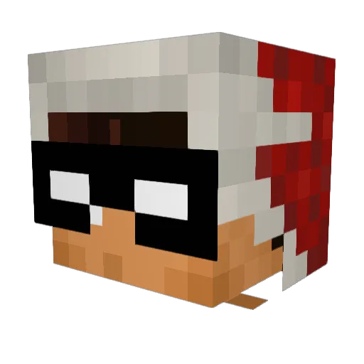 Damian_NpT Minecraft avatar head, 3D render