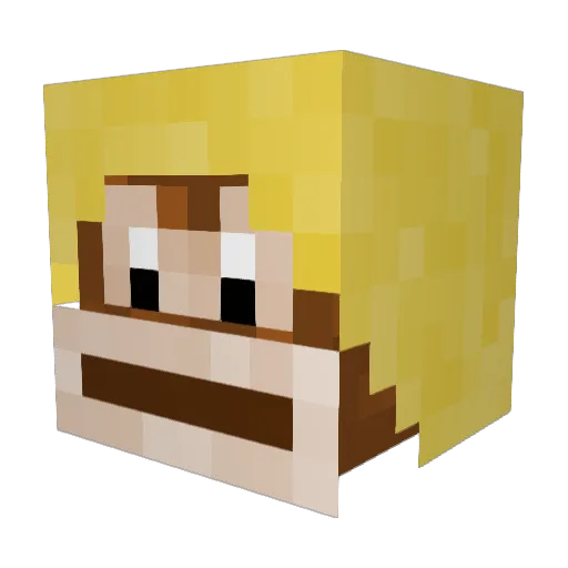 Damiancito528 Minecraft avatar head, 3D render