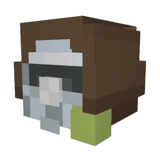 Damiansito Minecraft avatar head, 3D render