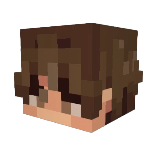 Damiaocjx Minecraft avatar head, 3D render