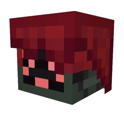 Damielle3141 Minecraft avatar head, 3D render