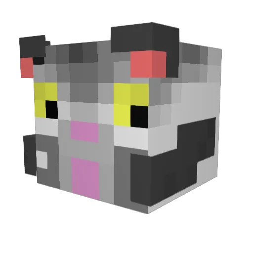 DamienIsHere Minecraft avatar head, 3D render