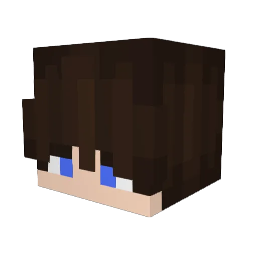 DamienW1 Minecraft avatar head, 3D render