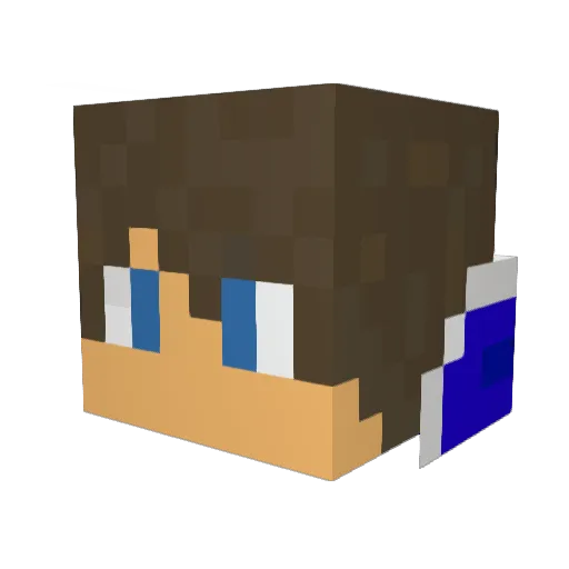 Minecraft-Avatar von Damiencraft7: Kopf als 3D-Render