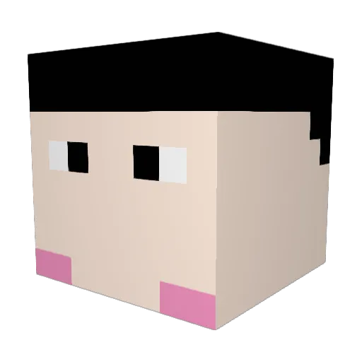 Damin_2017 Minecraft avatar head, 3D render