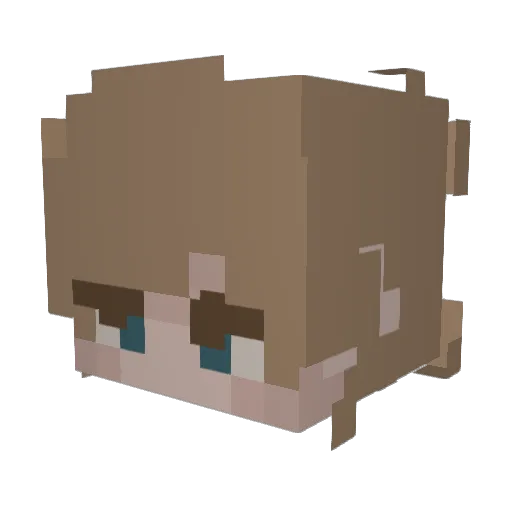 Damir_ Minecraft avatar head, 3D render