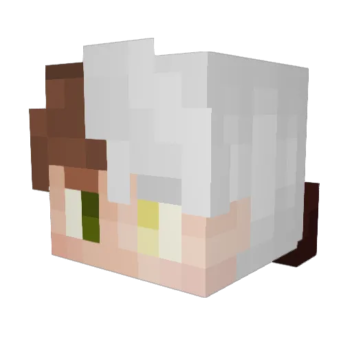 DamitDragon_ Minecraft avatar head, 3D render