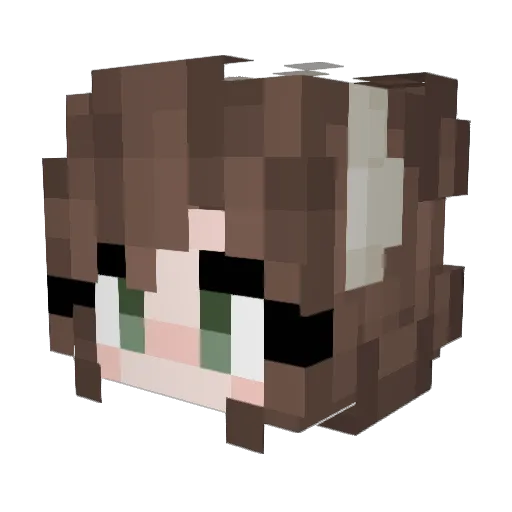 DamliSpengi Minecraft avatar head, 3D render