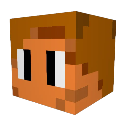 Dammi007 Minecraft avatar head, 3D render