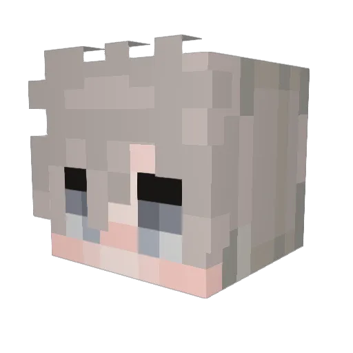 DammitDeanTTV Minecraft avatar head, 3D render