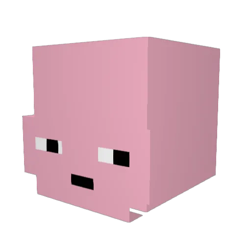 DamnReally Minecraft avatar head, 3D render
