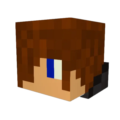 Damo3131 Minecraft avatar head, 3D render