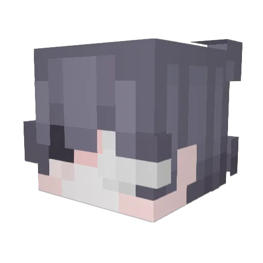 Damon390 Minecraft avatar head, 3D render