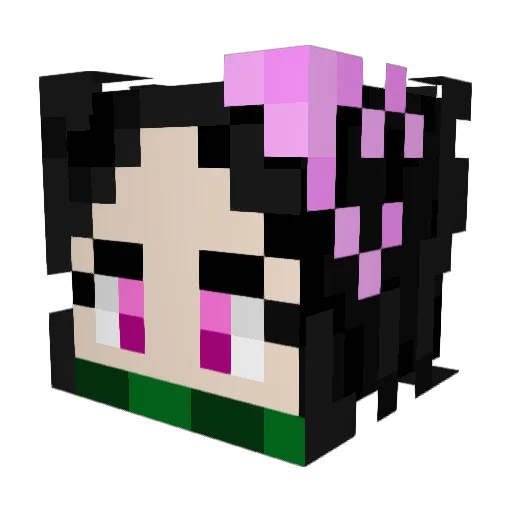 Damoo4545 Minecraft avatar head, 3D render