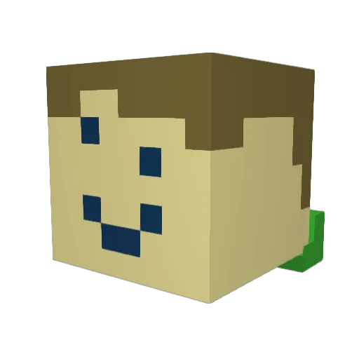 Damoomans Minecraft avatar head, 3D render