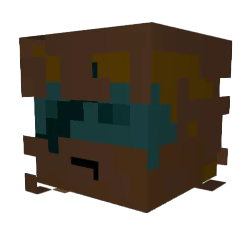 Damoose21 Minecraft avatar head, 3D render