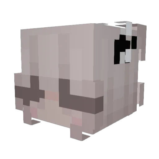 DampDinosaur589 Minecraft avatar head, 3D render