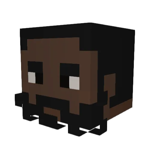 Damp_Bag Minecraft avatar head, 3D render