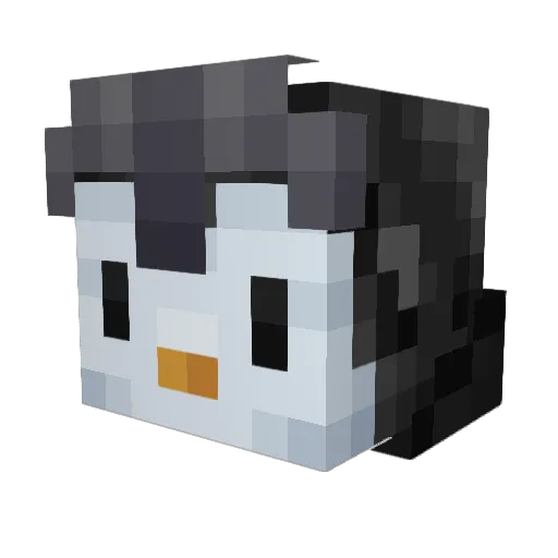 Damp_Penguin Minecraft avatar head, 3D render