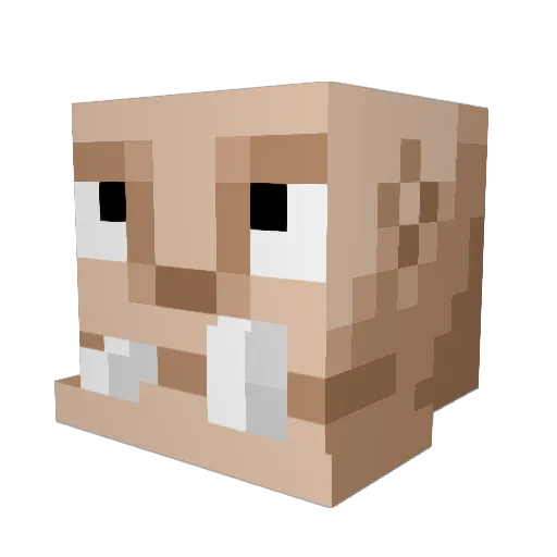 Dampe Minecraft avatar head, 3D render