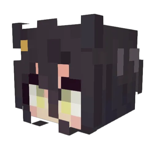 DampedCartoon46 Minecraft avatar head, 3D render