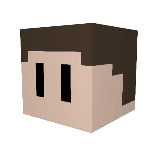 DampedRogue5 Minecraft avatar head, 3D render