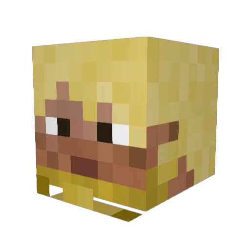 Dampfexpress Minecraft avatar head, 3D render