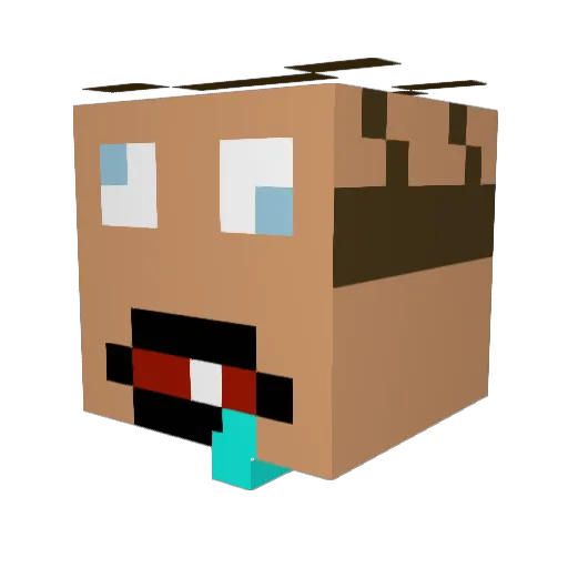 Dampy050 Minecraft avatar head, 3D render
