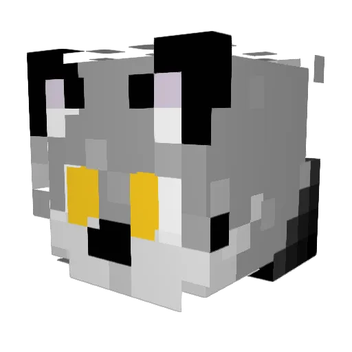 Dan0fLight Minecraft avatar head, 3D render
