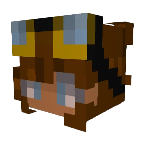 Dan15ha Minecraft avatar head, 3D render