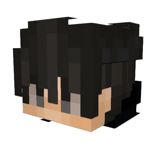 Dan17 Minecraft avatar head, 3D render