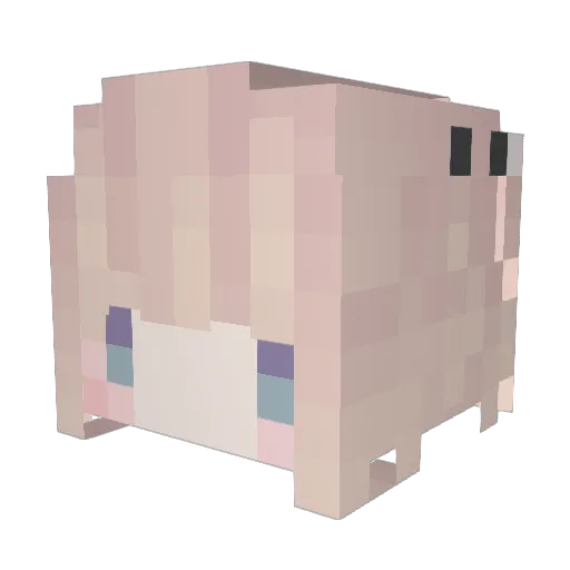 Dan1A_ Minecraft avatar head, 3D render