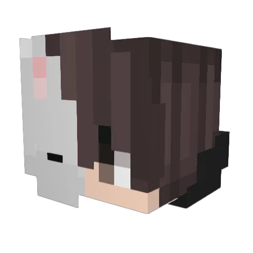 Dan1cr0 Minecraft avatar head, 3D render