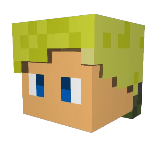 Dan1heman45 Minecraft avatar head, 3D render