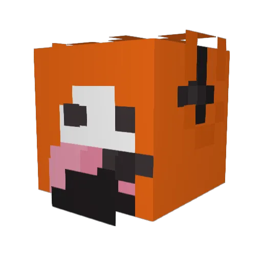 Dan1hero Minecraft avatar head, 3D render