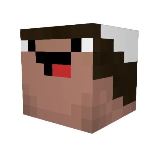 DanCook_ Minecraft avatar head, 3D render